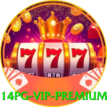 14pg - VIP Premium - game