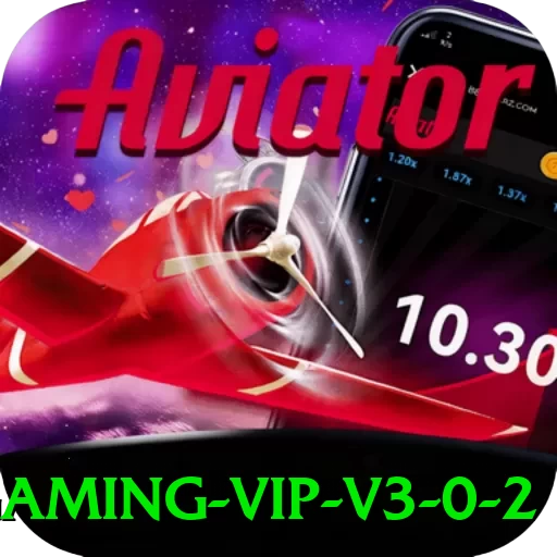 456a Gaming VIP v3.0.2 - go