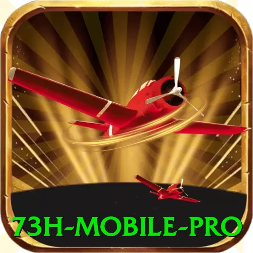73h Mobile Pro - go