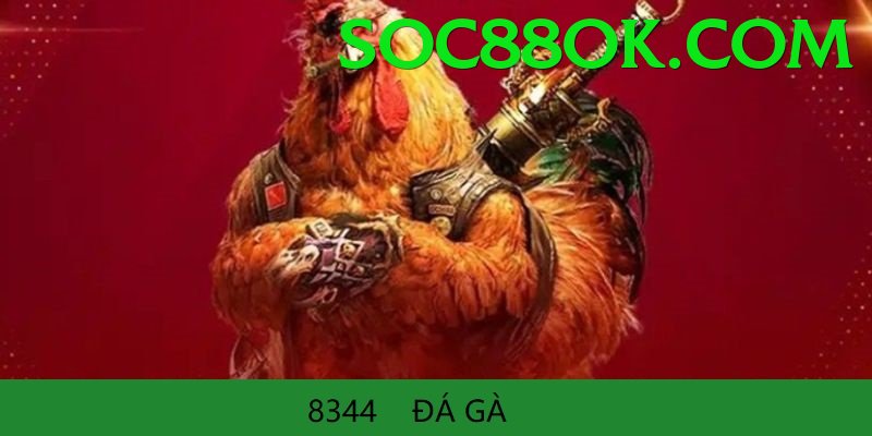 Đá Gà Trực Tiếp - Trải nghiệm tuyệt vời - iOS